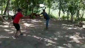 89K views · 4K reactions | TAKBO.MP4 HAHAHAHA | Tagalog Memes | Facebook