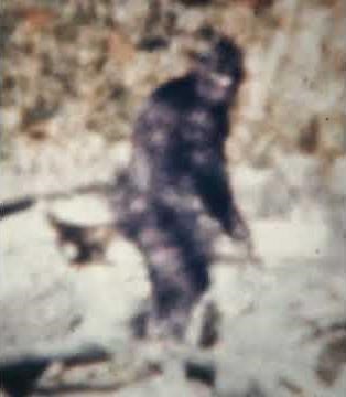 Patterson Bigfoot Film with High Quality Inserts