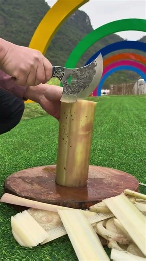 IMD 932112883 mini rotary tillage and ridging all-in one short view #travel#beach #flowers