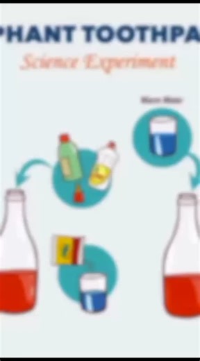 TheEducatorsCapitalCampus | Learning becomes fun when science comes to life! Our students enjoyed the exciting Elephant Toothpaste Experiment, watching science in... | Instagram