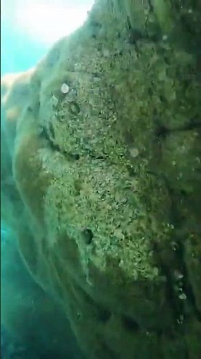 Discover Spain’s Waters: Diving, Snorkeling, and Coastal Adventures Await