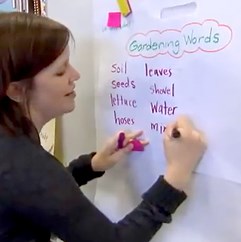 Semantic Impressions