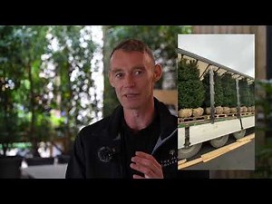 Root ball season is now here