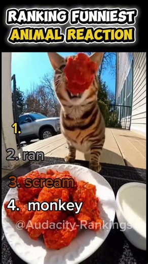 What happened to the last one is ridiculous#laugh #funny