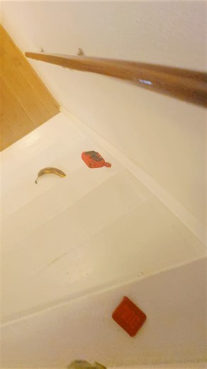 JBL Go 4 Stairs Test 🤣🤣