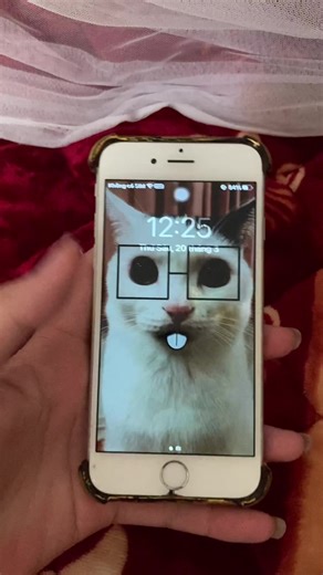 theme mới trên jailbreak #jailbreak #sileo #cydia #iphone6s #ios15