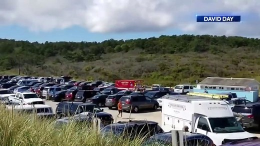 Man dies after shark attack on Cape Cod