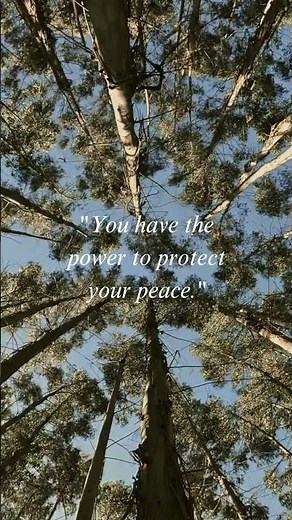 you have the power to protect your peace #foryou #nature #earthprotectors #growmychannel