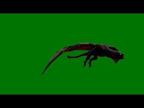 Free Green Screen Dragon Flying
