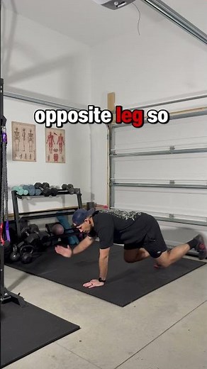 Bear stance bird dog exercise tutorial. Core stability and balance.