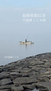宍道湖のしじみ漁 | 宍道湖しじみチーム