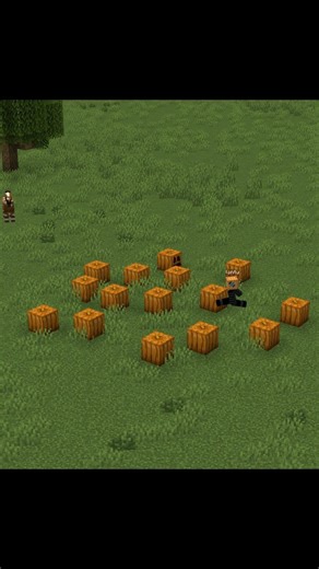 Finding A Village Using Pumpkins be Like #minecraft