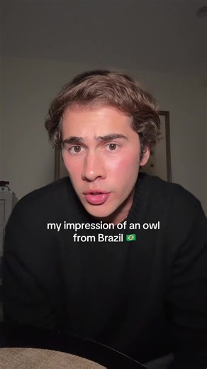 Owl Impression from Brazil – Capture Nature's Charm