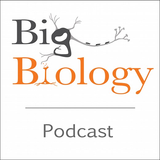 Big Biology Podcast — Big Biology Podcast