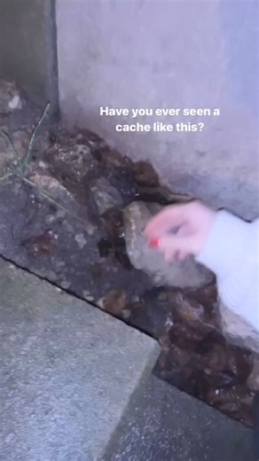 😮 Have you ever seen a cache like this? 😮 Video by cacheyoulater. | Geocaching
