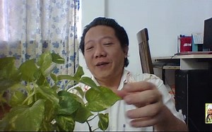 mql4.001.学习编写ea.初级.202008.没有编写经验 可以学习吗？