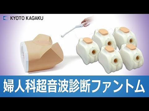 婦人科超音波診断ファントム US10 /US10A / US10B / US10C / US10D 京都科学 産科