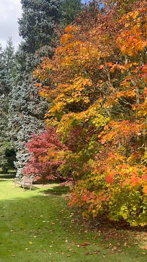 Thorp Perrow Arboretum Wildlife Park | Thorp Perrow Arboretum Wildlife Park