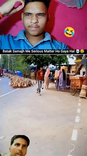 Duck Parade 😁 #shortsvideo #ytshorts #funnyshorts