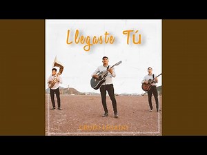 Llegaste Tu