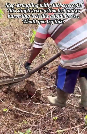 Master This Genius Tool For Easy Root Removal