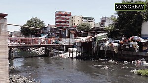 115K views · 388 reactions | The Philippine government has begun the process of relocating more than 200,000 families living along waterways to restore Manila Bay, the main body of water in the capital. https://news.mongabay.com/2019/10/manilas-informal-settlers-face-relocation-in-exchange-for-clean-bay/ | Mongabay.com | Facebook