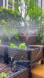 217K views · 1K reactions | Your home garden will silently thank you for bringing in the Diy Watering System | Dodo Garden | Facebook