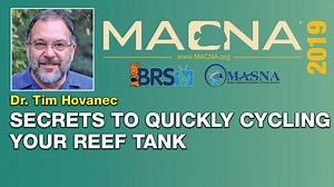 2.2K views · 25 reactions | Dr. Tim Hovanec the founder of Dr. Tim Aquatics gives a helpful talk on how to cycle a saltwater tank, and secrets to speed up the process. | Bulkreefsupply.com - Saltwater Aquarium Supplies | Facebook