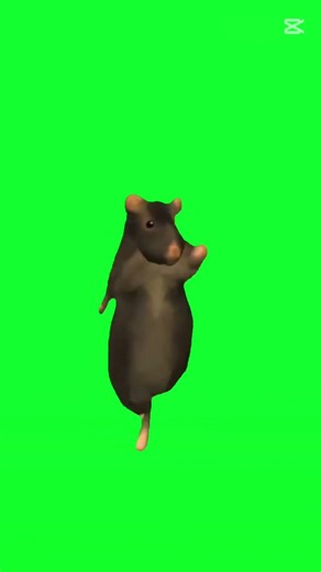 Rat Dance #meme #greenscreen