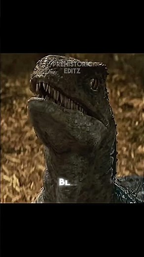 "The bond between blue and Owen" |Blue edit| Jurassic world Owen grady