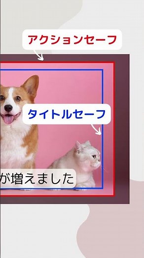 【結婚式ムービーの作り方】セーフティゾーン #shorts #結婚式 #プロフィールムービー #画像編集 #tutorial