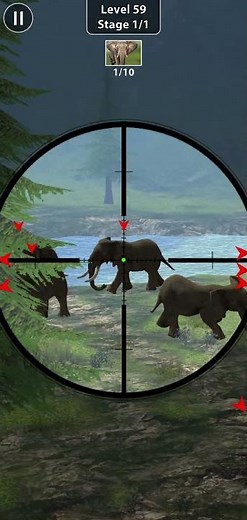 Animal Shooting: Jungle Hunter | Animal Hunting Game Video