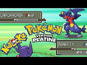 L'erreur - Pokémon Platine Nuzlocke Randomizer