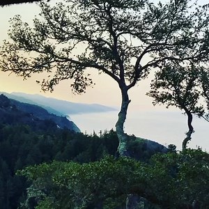 Socially distanced outdoor dining in the most beautiful location imaginable. A picnic in paradise. Enjoy a moonlit supper with all the fixin’s. Open from 11:30 am to 10 on seven days a week. Check out our weather cam at www.nepenthe.com for up to the minute images. | Nepenthe Big Sur