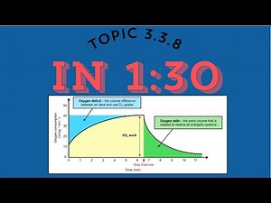 Oxygen Deficit and Oxygen Debt EXPLAINED (SEHS 3.3.8)