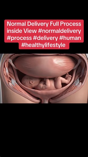 Normal Delivery Full Process inside View #normaldelivery #process #delivery #human #healthylifestyle