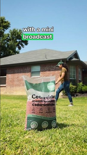 🌱 100% Natural, Pet-Safe Ant Control that's Easy to Use!