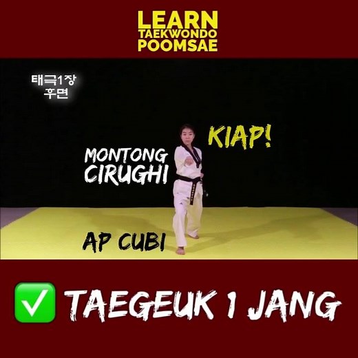 163K views · 1.2K reactions | ✅ Taegeuk 1 Jang (Il Jang) 屢The Techniques of this form: ⭐️Montong Cirughi ⭐️Are Makki ⭐️An Makki ⭐️Ongul Makki ⭐️Ap Chagi ⭐️Ap Soki ⭐️Ap Cubi #LearnTaekwondo #taekwondo #tkd #poomsae | Learn Taekwondo Poomsae | Facebook