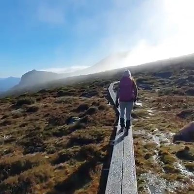 1.1M views · 16K reactions | Is there anything better than fresh Discover Tasmania air? ️ IG/wildislandwomen enjoyed a weekend stroll on the new boardwalk along Tasmania Parks and Wildlife Service K Col Track in Mount Field National Park which is just an hour drive from Hobart & Beyond. Tag a friend and start planning your next hiking adventure!  | Australia.com | Facebook