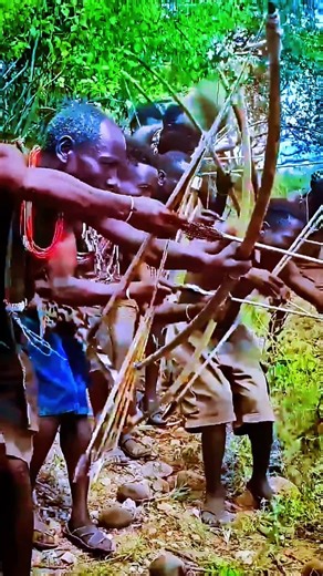 Inside Daily African Hunt – Life in the Jungle 🔥🏹 #Shorts #HuntLife #Viral