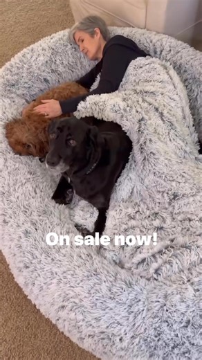 ON SALE NOW! Comment link or shop here - https://urlgeni.us/amzn/humandogbedpic This human size dog bed is SO soft and comfy! With built-in pillow and faux fur blanket it’s perfect for naps or cuddling with the whole gang! It unzips for easy washing and is WAY softer than you would even imagine. We’ve owned ours for nearly a year and it still looks and feels the same as the day we bought it! 😊 #amazonhome #petlovers #doglover #homehacks #amazonfinds | The Design Twins