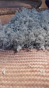 Ancient ritual, timeless taste | The story of Laifeng rattan tea! #teatime #teaharvest #TimelessTaste #intangibleculturalheritage #CulturalHeritage | Videoslia