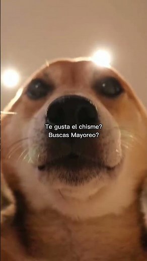 ¿Buscas productos de mayoreo en México? Esto necesitas saber