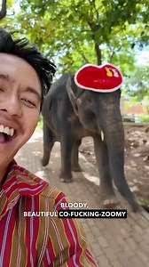 1M views · 26K reactions | Here's me commentary on Animal Zoomies ️ | Ozzy Man Reviews | Facebook