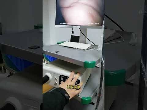 VET endoscope operation（1）