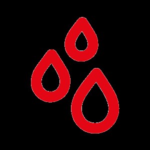 LVIA- L'associazione di solidarietà e cooperazione internazionale