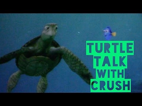 Turtle Talk with Crush - Epcot (2016) FULL SHOW (Finding Nemo | Dory | Pixar)
