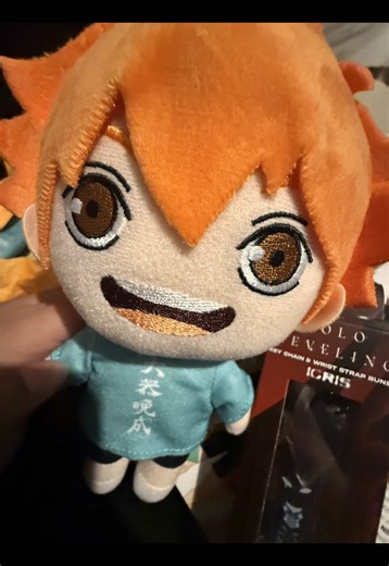 #haikyuu #anime #oikawa #hinatashoyo #animelover