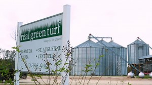 About Real Green Turf - Ash, NC Sod For Sale