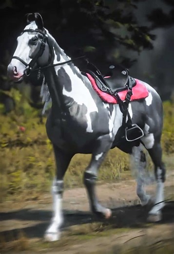 Who is this SUPERMODEL? 💖 - The Marwari and Custom Tack || Creared by Mei @Mei 🌟 - 🏷️: #horse #horses #equestrian #reddeadredemption2 #rdr2horses